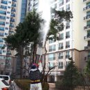 ㈜청솔나무병원 이미지