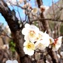 "법왜곡죄' 시행 첫날, 조희대 대법원장 피소…"이 대통령 사건 기록 검토 유기"｜지금 이 쇼츠 이미지