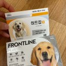 밝은마음약국 이미지