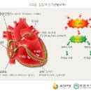 건강상식; 부정맥 증상, 입춘에 먹는 음식 무엇이 있을까? 이미지