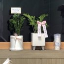 제일카정비 이미지