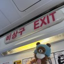 구억카 | [일본] 도쿄-시즈오카 여행 후기(1편)