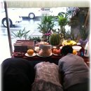 상옥프로폴리스 이미지