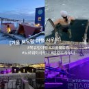 핀란드 하우스 | 겨울 북유럽 여행 노르웨이 vs 핀란드 사우나 후기