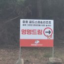 멍멍아 스파가자 | 광주 근교 나주 신상 애견카페 [멍멍드림]