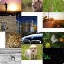 예원의료재단 이미지