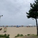 반달곰연탄구이 이미지