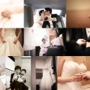 스튜디오코이