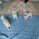 동석농장 이미지