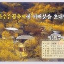 2008년 구례 산동 산수유축제(3월20~23일) 이미지