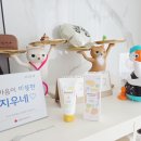 즐 | 6개월 아기 고불소치약 블랭키즐 치약 내돈내산 사용후기