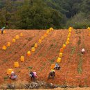 개랭이영농조합법인 이미지