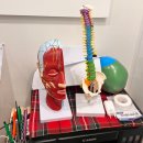 방화5단지(아) | 방화역에스테틱/두골비로 잡는 얼굴비대칭 제이윤에스테틱 후기