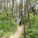 [아침등산] 마산 내서읍 구봉산 (250m) (2018년 2월 산행지 선정) 이미지