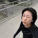 센티멘탈버스