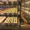 정가네밥상 이미지