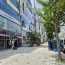 엘룬(elune) 이미지