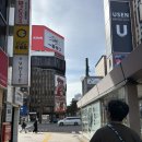 대지로3번길 | 내돈내산 가을 삿포로 , 비에이 후라노 흰그림자 버스 투어 일정 후기