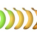 바나나약국 이미지