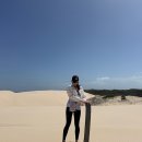 [시드니] 신행 4일차(넬슨베이 돌고래크루즈, 포트스테판 사막썰매, 오크베일동물원, YO-CHI)