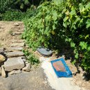 시원농장 이미지