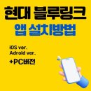 현대블루