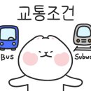 상화네거리 이미지