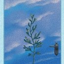 온더무브 이미지