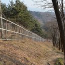 고모령길 이미지