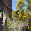 터미널관광나이트 | 방콕에서 끄라비까지 가는법 나이트버스 후기 - lignite bus 탑승후기 , 준비물