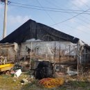 상월면사무소 이미지