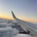 민정목장 | 🌴제주도 당일치기🌴