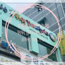 뛰뛰 강아지 놀이터 이미지