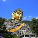 와우정사 이미지