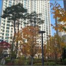 고산슈퍼 이미지