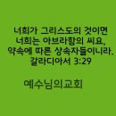 아브라함의 상속자들