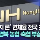 ‘브릿지 론’ 연체율 전국 최고···대구·경북 농협·축협 부실 우려 이미지