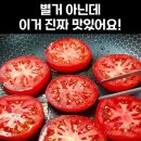 토마토+모짜렐라치즈+계란+후추+또띠아+상추 이미지