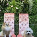 유통단지로7길 이미지