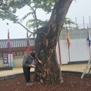 노송병원 이미지