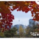 광나루로(북측) 이미지