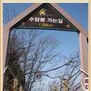 너구리주유소