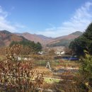 강림면350 이미지