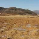 행복한전원공인중개사사무소 이미지