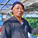 상면농장 이미지