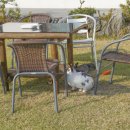 선흘하루 이미지