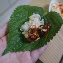 문스팩토리 네이버블로그