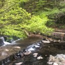 송광사길상식당 이미지