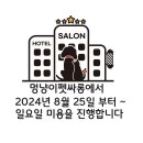 펫싸롱 네이버블로그