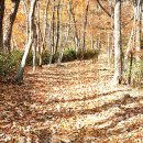 조계산도립공원 송광사 주차장 화장실 | 순천 조계산 등산코스 - 승선교 - 선암사 - 장군봉(정상) - 보리밥집 - 송광사 - 송광사주차장